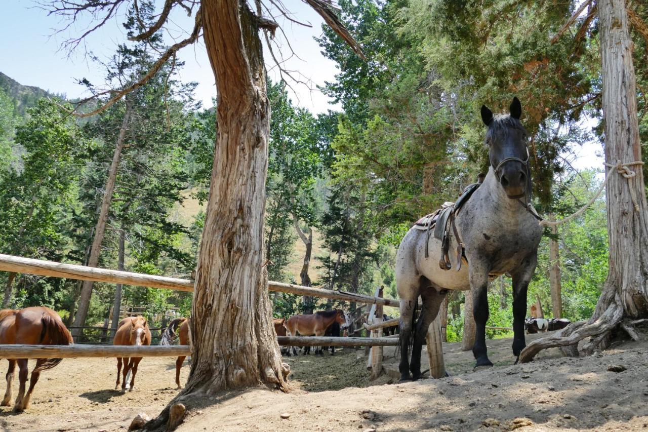 Bill Cody Ranch Hotel Bagian luar foto