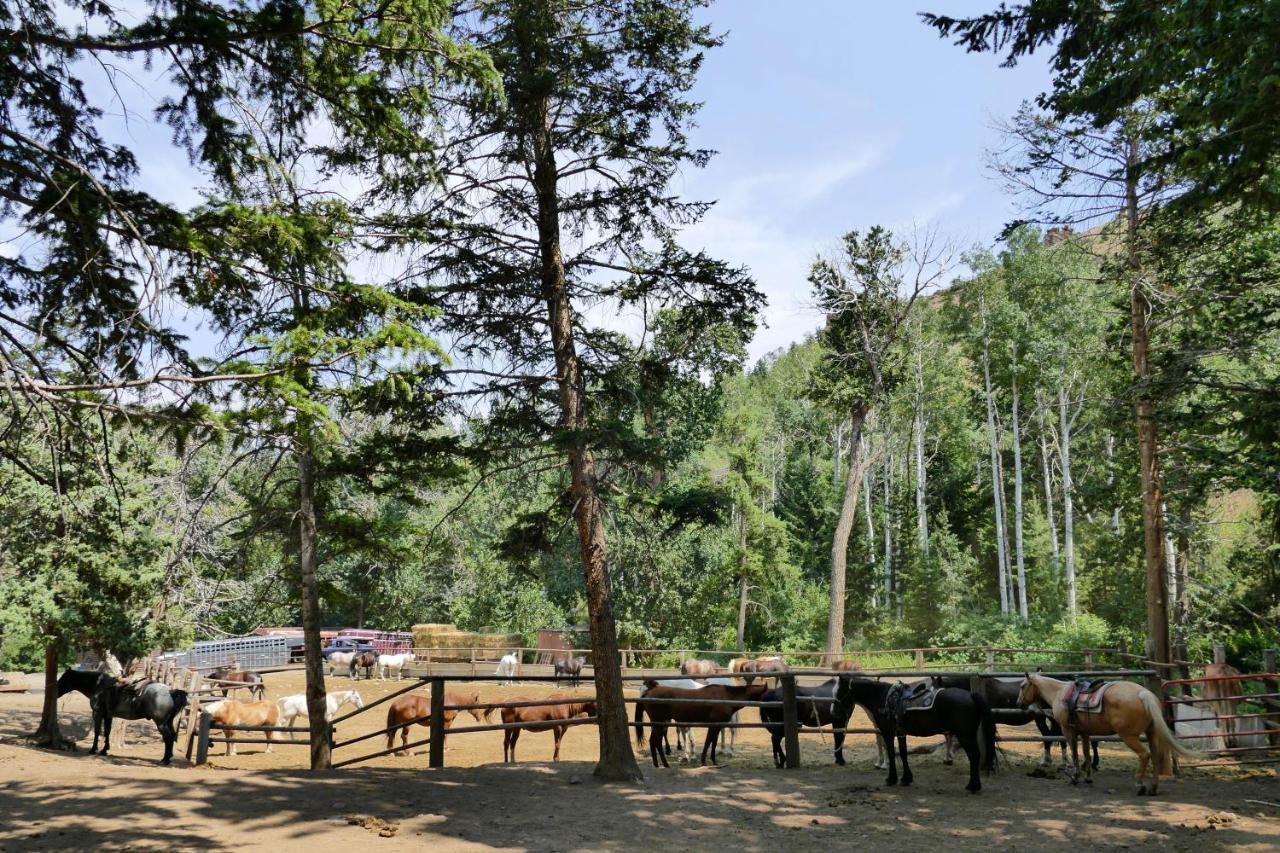 Bill Cody Ranch Hotel Bagian luar foto