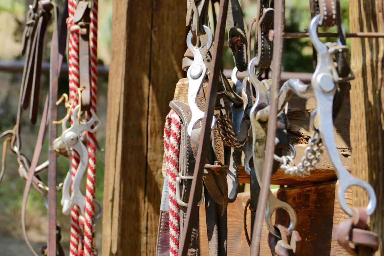 Bill Cody Ranch Hotel Bagian luar foto